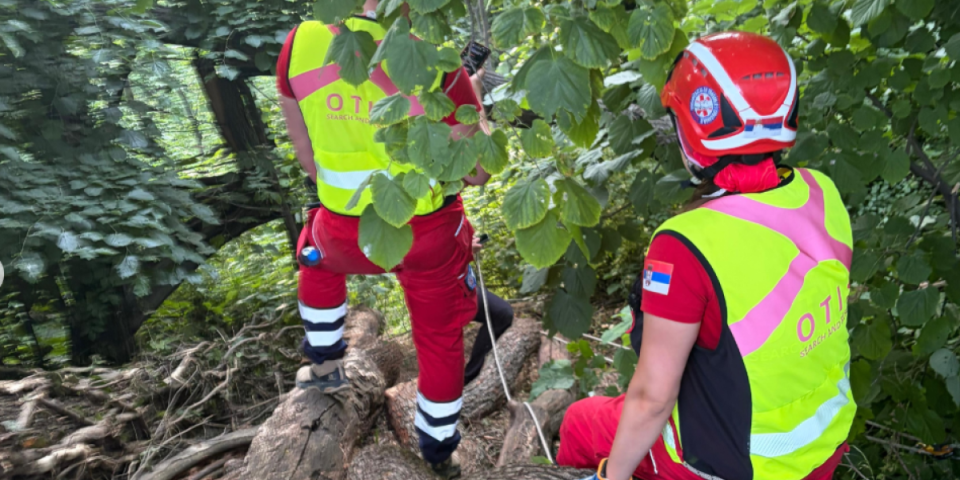 Drama: Čovek pao sa visokog drveta - Spasioci na nogama (FOTO)