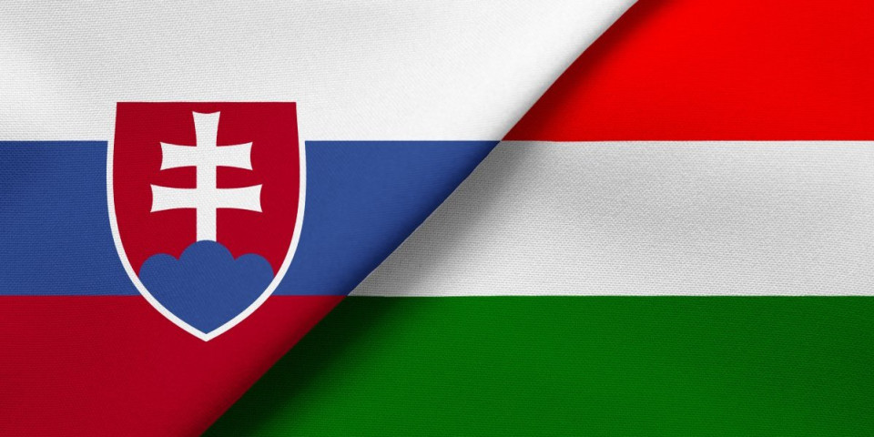 Prijateljstvo uprkos razlikama: Šta za Slovačku znači nova vlada u Mađarskoj?