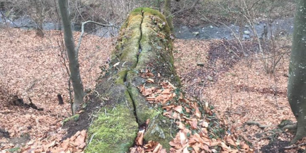 Meštani pamte jezive priče o sudbini onih koji su grešili kraj ove vode 