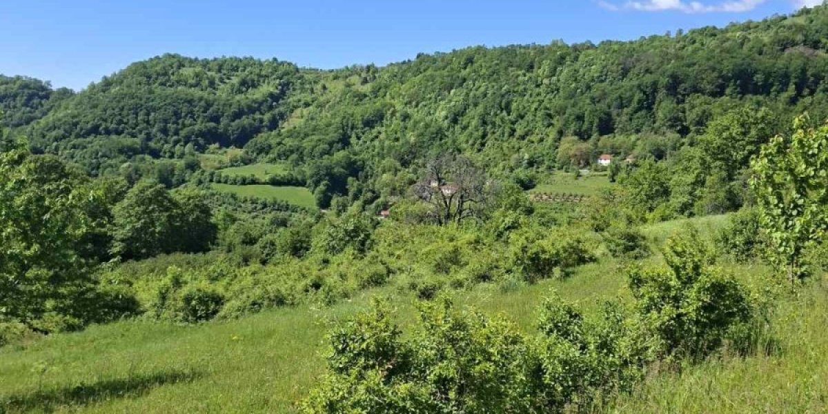 Selo Jastrebac