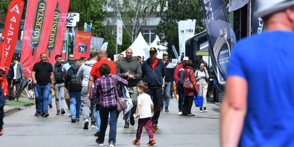 Koliki je Jablan, majko mila! Trenutno je najveća atrakcija u Novom Sadu