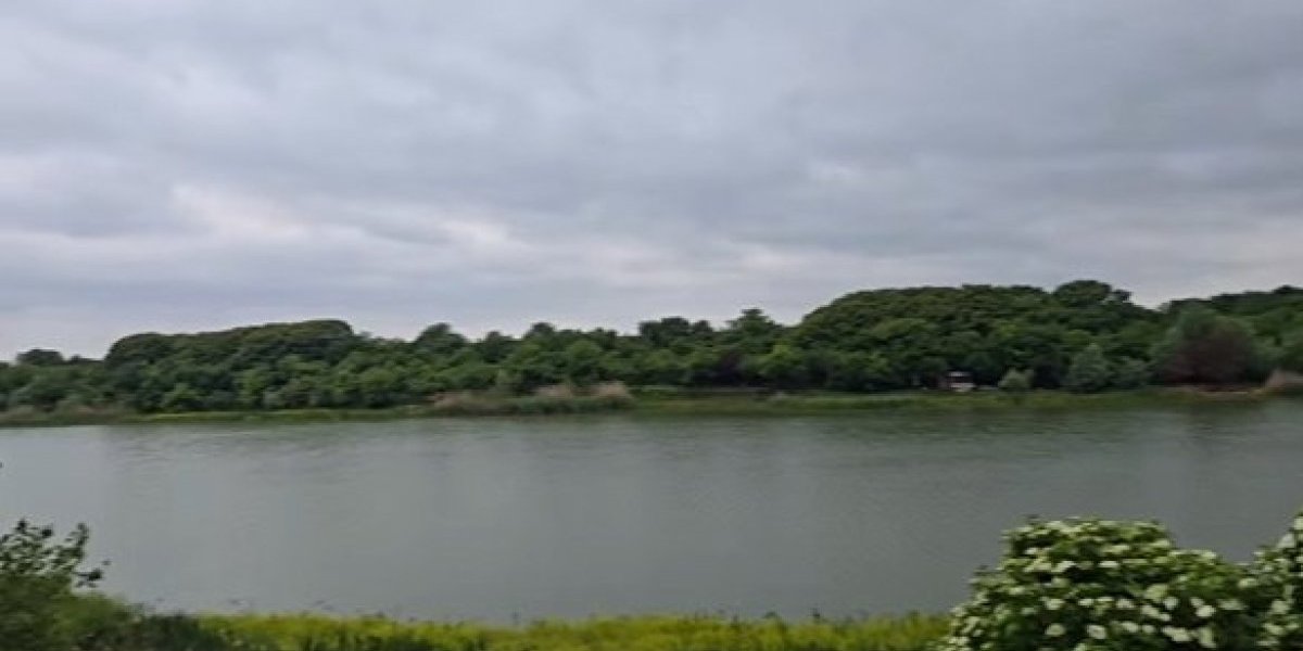 Jarkovačko jezero