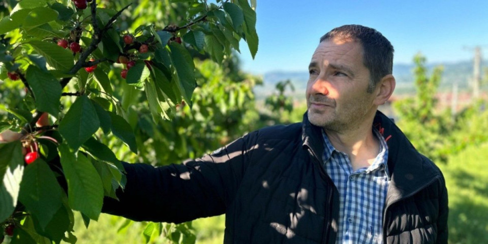 One su novo crveno zlato! Nema više "pljačkanja" po marketima i pijacama, stigle su domaće