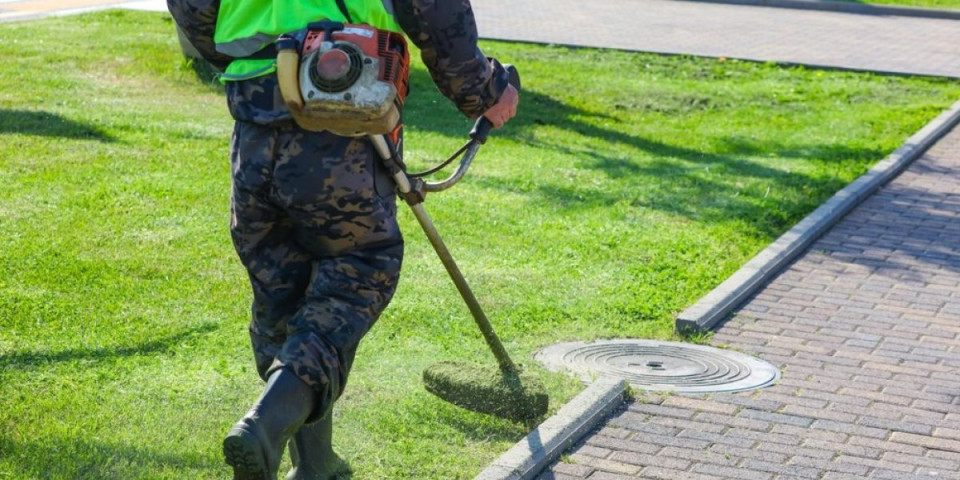 Tajna savršenog travnjaka: 5 stvari kako da vam dvorište postane zeleni tepih