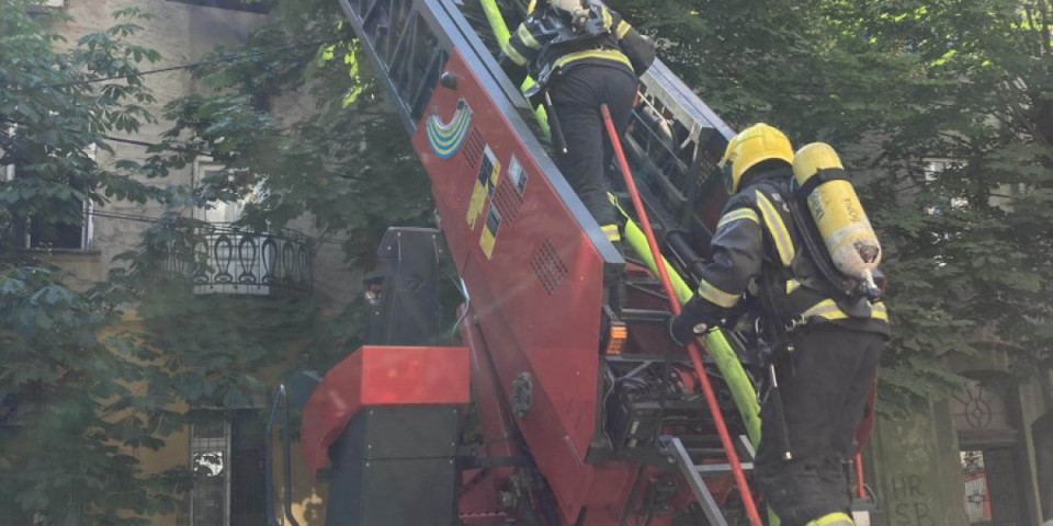 Požar kod Metroa na Ibarskoj magistrali: Vatrogasci na terenu (VIDEO)