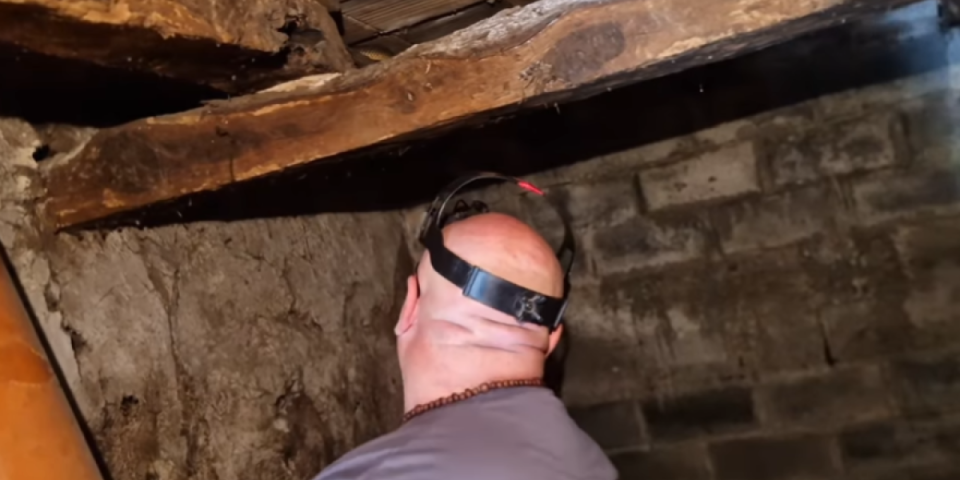 Evo zašto kažu "pije kao smuk": Vladica se šokirao kada je ovo video (VIDEO)