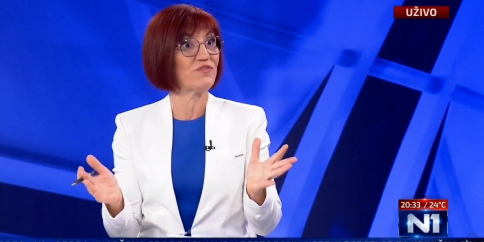 Ovo morate da vidite, šok na N1! Danica Vučenić zapanjila blokaderku: Četiri puta pravite skup na Slaviji, a... (VIDEO)