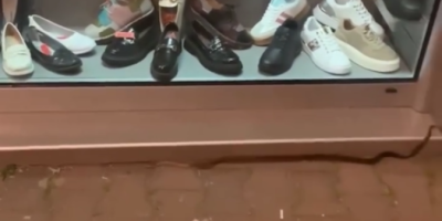 Kolika zmijurina: Izašla na ulicu i to u centar grada (VIDEO)