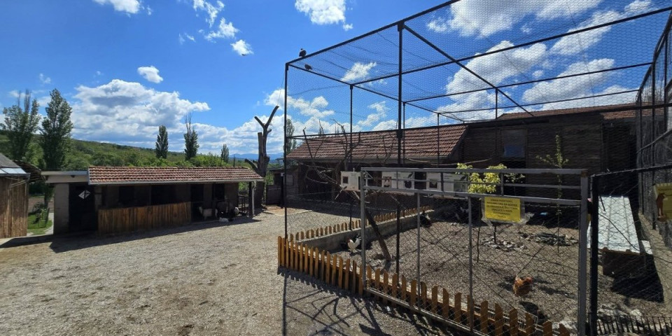 Trenutak mu je promenio sudbinu: Neobična priča iz Niša