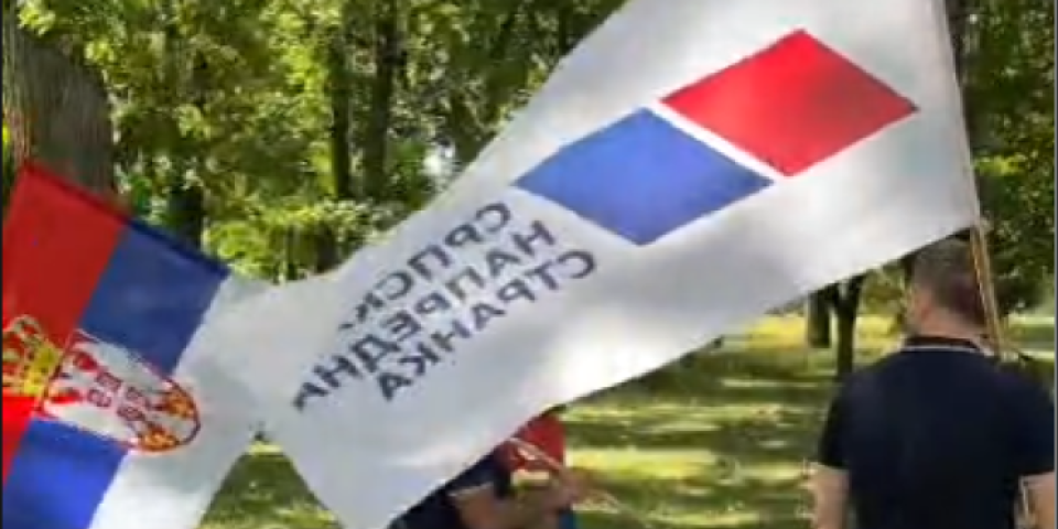 Perlez pobeđuje: Velika akcija aktivista SNS (VIDEO)