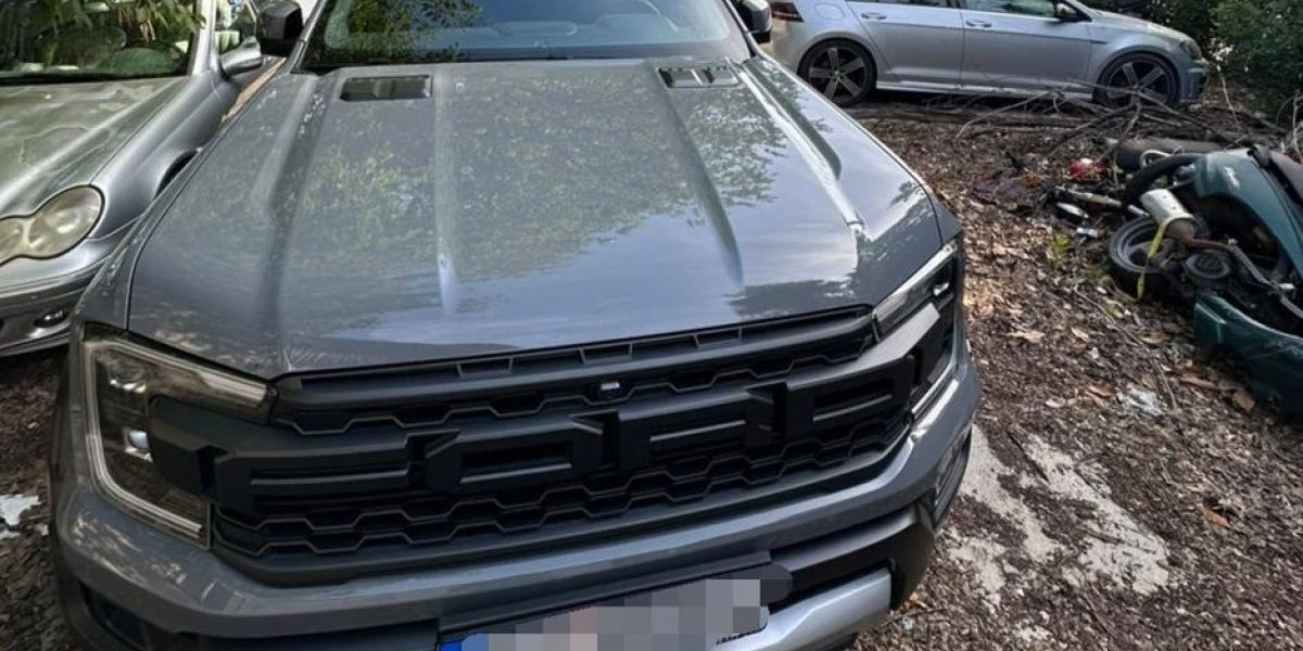 Zaplenjen automobil