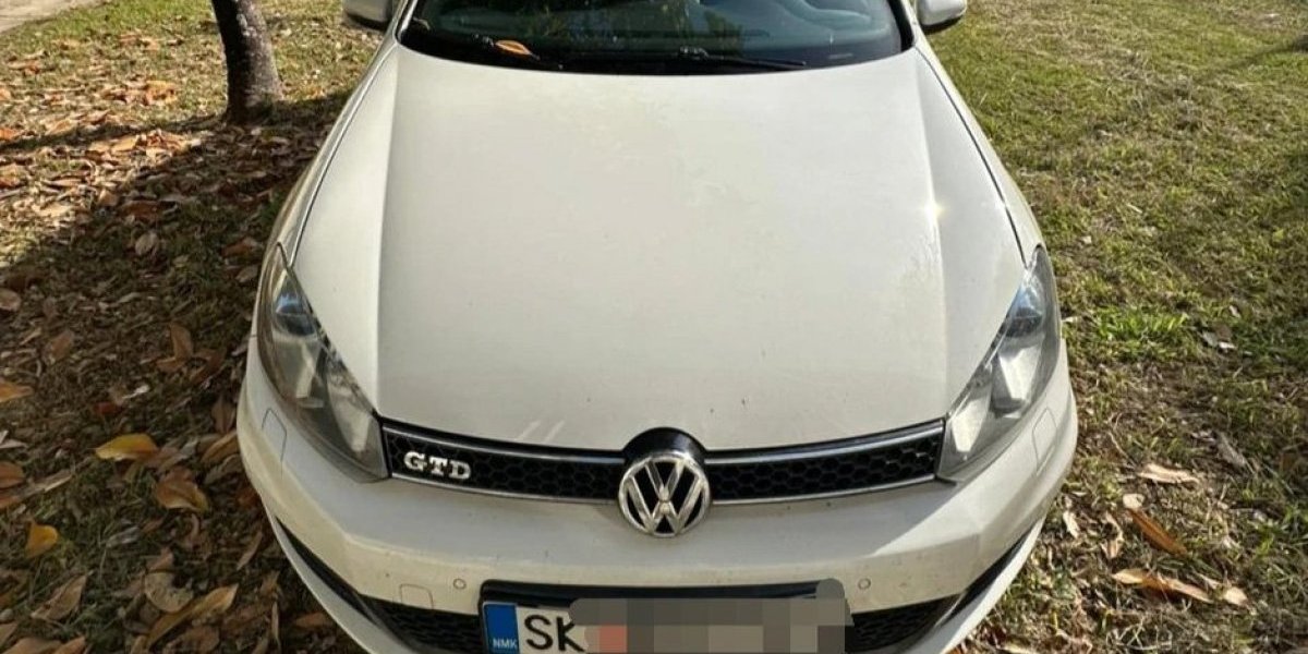 Zaplenjen automobil