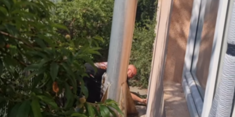 Šta je ovo crni Vladice? Besne kao ris, ali on ne odustaje (VIDEO)
