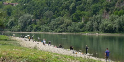 Najmudrijoj rečnoj ribi posvetili manifestaciju: Evo kako su