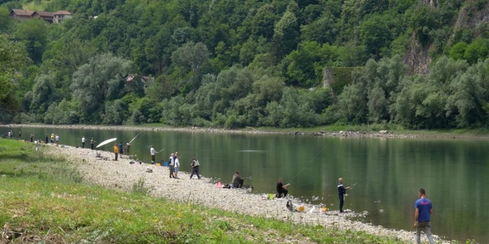 Najmudrijoj rečnoj ribi posvetili manifestaciju: Evo kako su je obeležili (VIDEO)