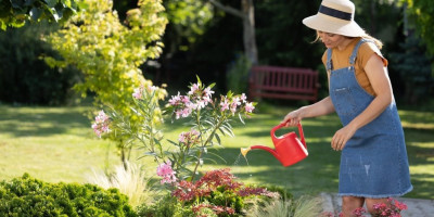 4 biljke koje vole sunce i podnose sušu: Traže minimalnu neg