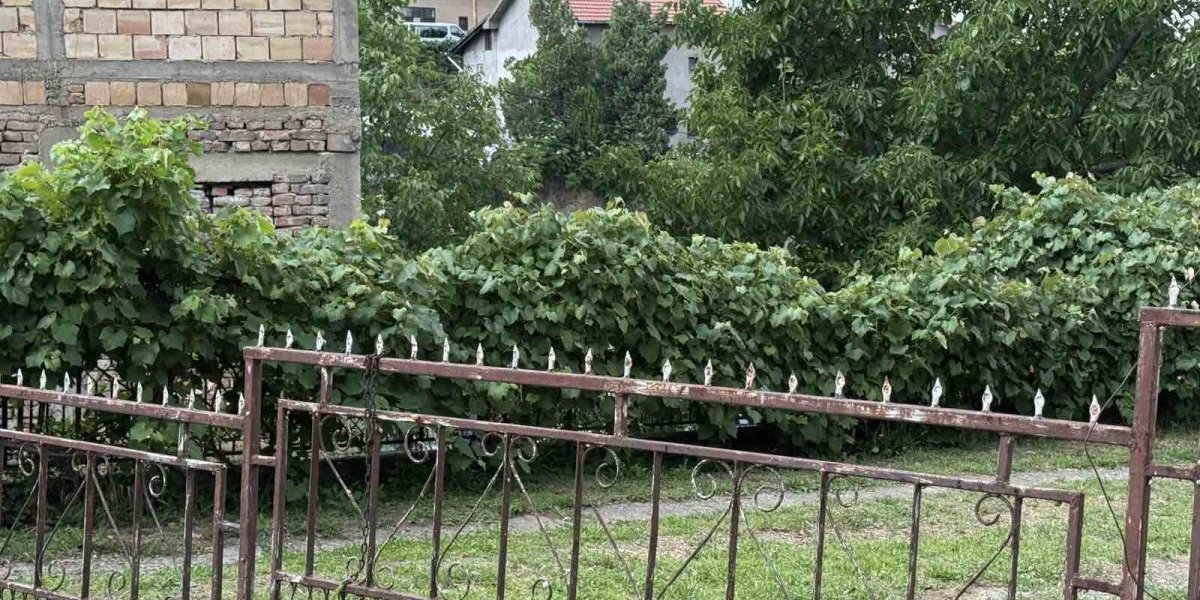 Rodna kuća Maje Marinković