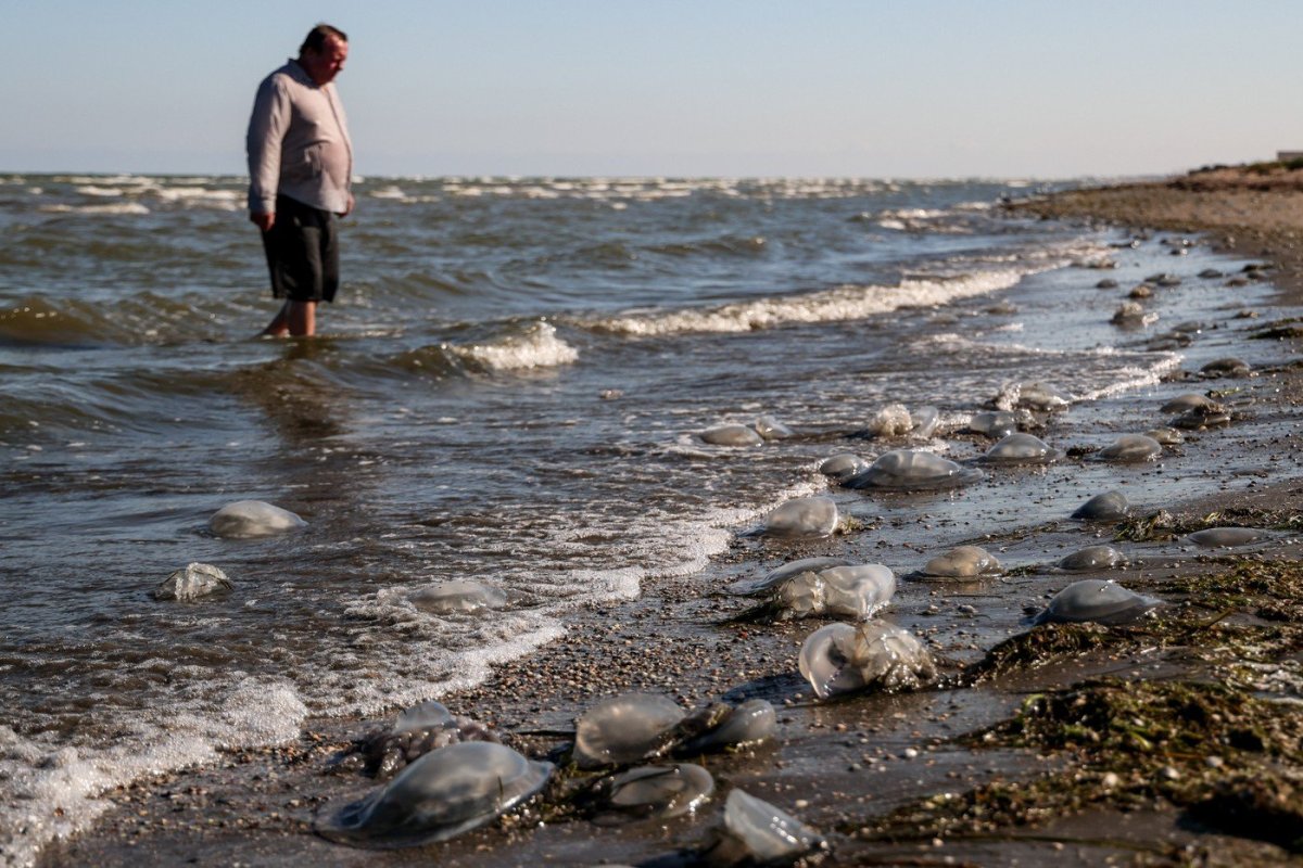 Jezivi znak kataklizme pojavio se na plaži lučkog grada: Ljudi u panici, ovo je zlokobna najava
