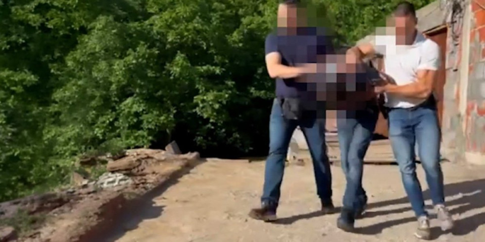 Ovo je snimak hapšenja pedofila: Pali u akciji "Armagedon" - Policija ih zatekla u gaćama! (VIDEO)