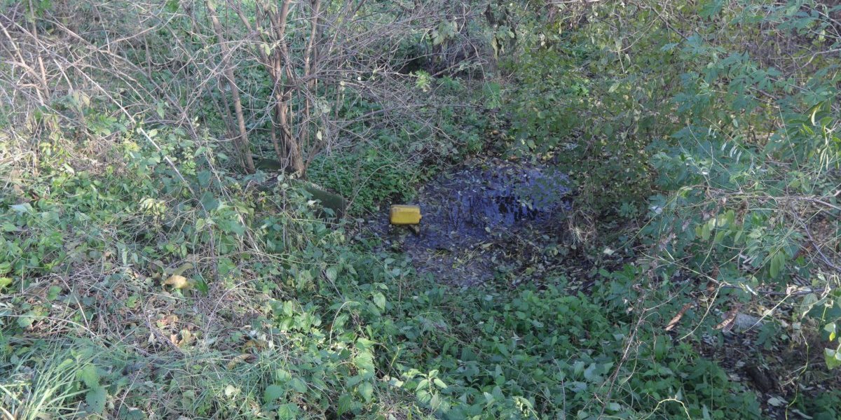 Višedecenijski nemar pretvorio je ovaj deo grada u divlje smetlište na kojem bujaju nelegalni objekti