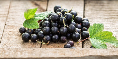 Zaboravljena voćka koja čuva srce i probavu: Mala, a moćna
