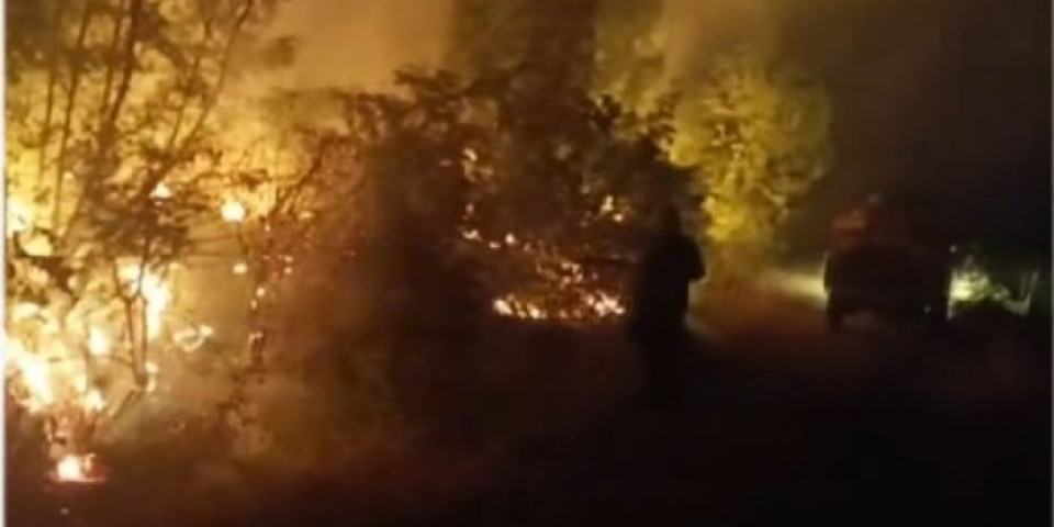 Veliki požar kod Trebinja: Vatrogasci brane sela, celu noć se borili sa vatrenom stihijom (VIDEO)