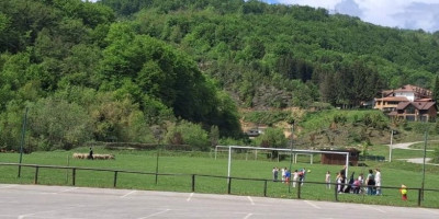 Neviđen prizor na Zlatiboru: Još samo fudbal da zaigraju (VIDEO)