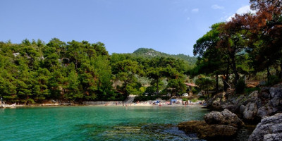 Plaža na Tasosu osvojila turiste: Letnja senzacija sa čistim morem i prirodnom hladovinom (VIDEO)