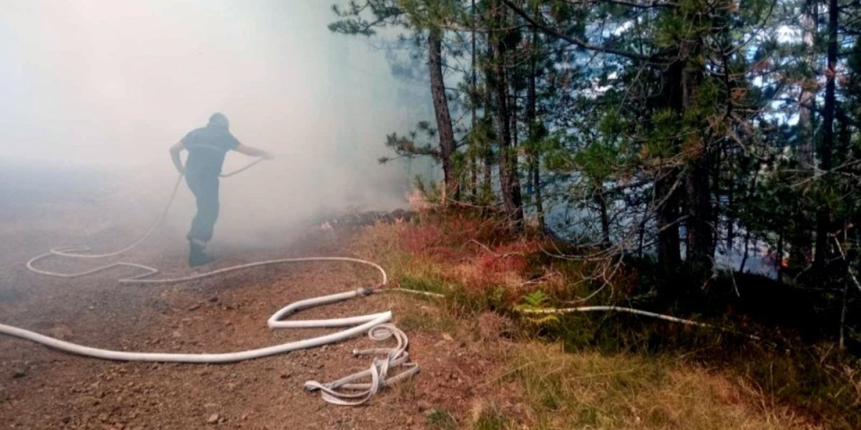 Jeziv požar se širi ka Srbiji: Vatrogasci u borbi sa stihijom!