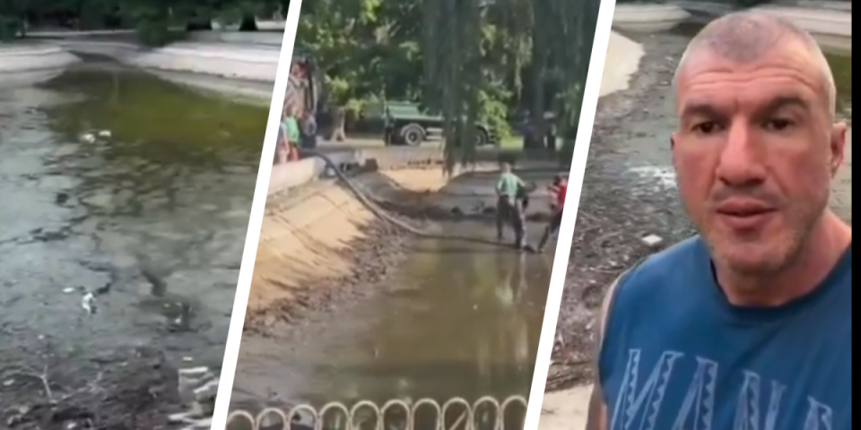 Geda gluperda! Pogledajte ultimativni dokaz zašto je Bačulov merna jedinica gluposti (VIDEO)