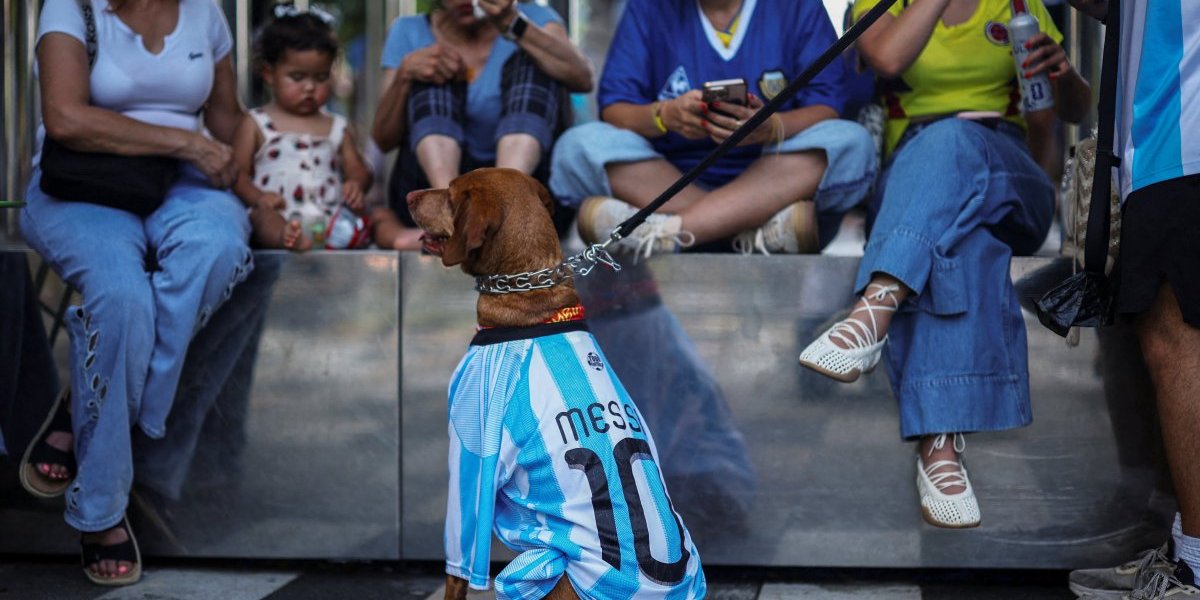 Amerika FIFA Navijač Argentine
