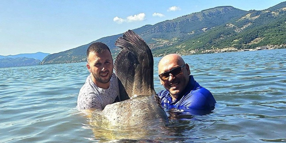 Ulovljena đerdapska neman od 113 kilograma! Alasi kod Donjeg Milanovca izvukli čudovište iz Dunava, borba bila epska!