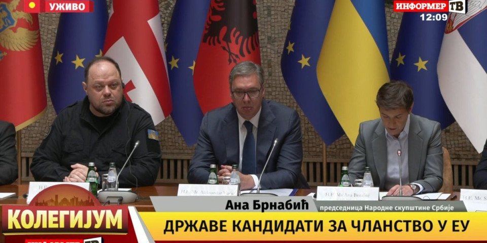Vučić na Konferenciji: Nisam optimista po pitanju brzog EU članstva (FOTO)