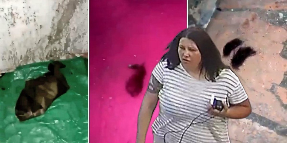 (VIDEO) Opa! Svetski skandal: Ukrajinski obaveštajac priznao ubistvo teroriste iz Monaka - klupko se polako odmotava