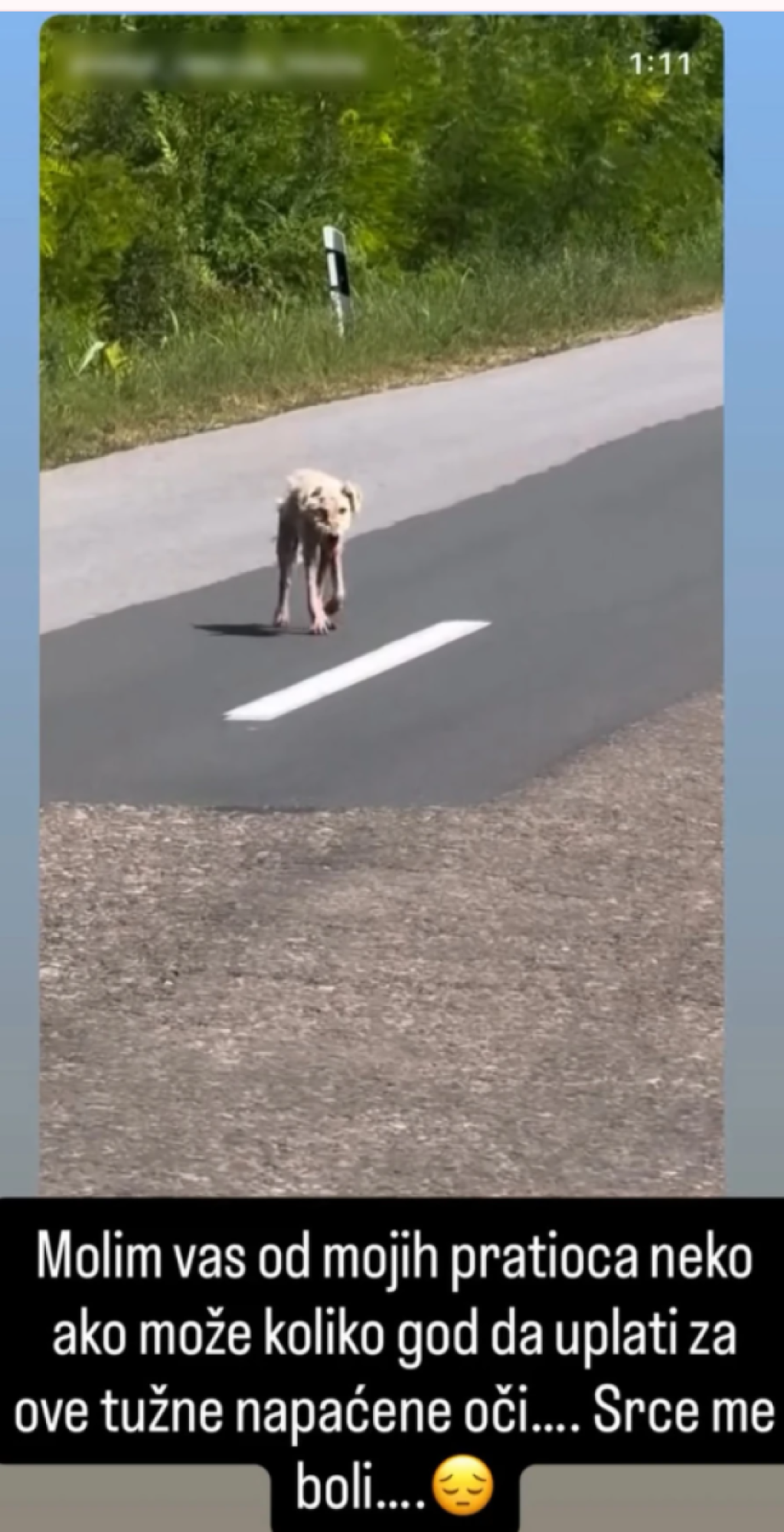 "Srce me boli!" Hitan apel Lune Đogani potresao Srbe - Moli za novčanu pomoć!