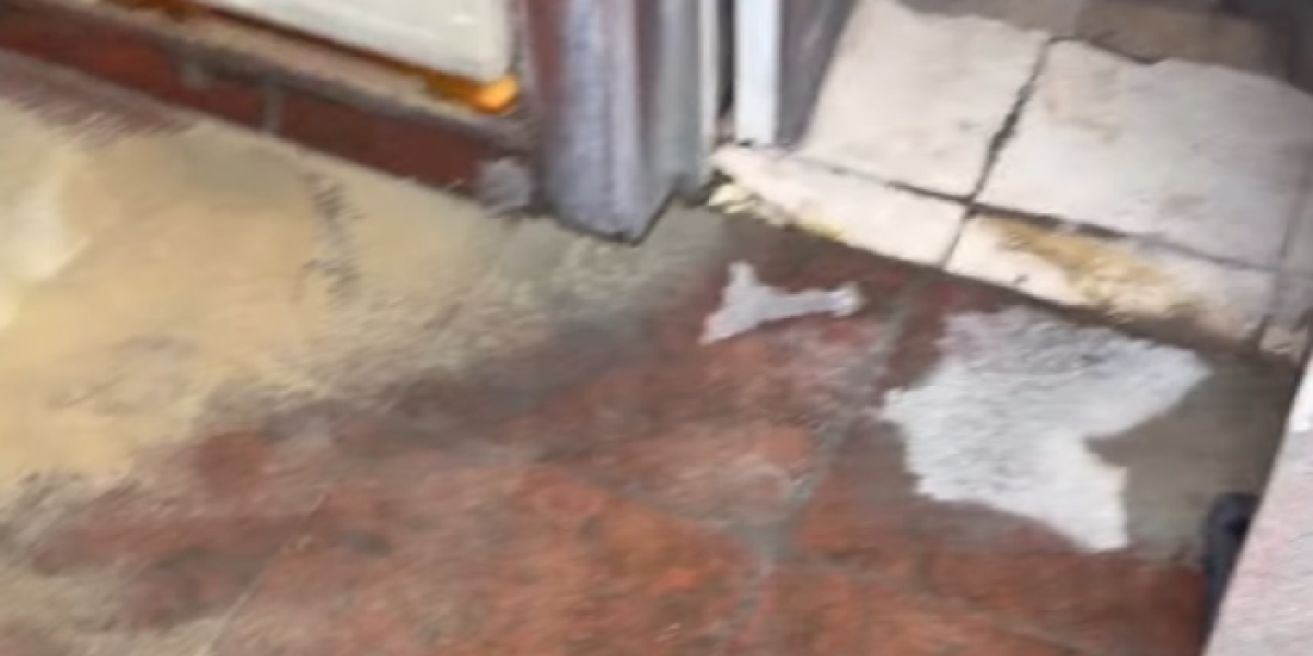 Poplava u Cecinoj vili na Dedinju