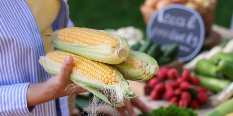 1 detalj na kukuruzu otkriva da li je dobar: Evo koji klip nikako ne bi trebalo da kupite
