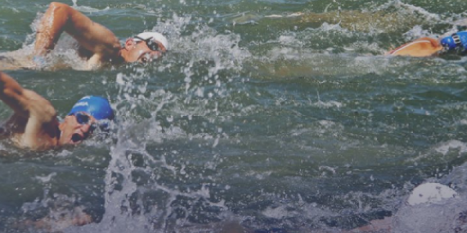 Šabački delfini uzburkali Savu! Na plivačkom maratonu učestvuje više od 60 plivača iz šest država