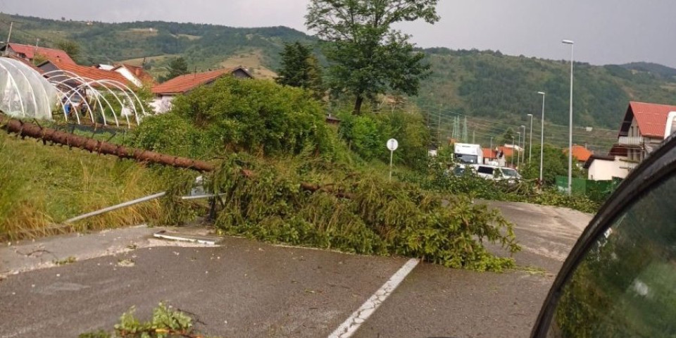 Orkanski vetar čupao drveće! Prvo je kiša krenula da lije kao iz kabla, a onda se smračilo (VIDEO)