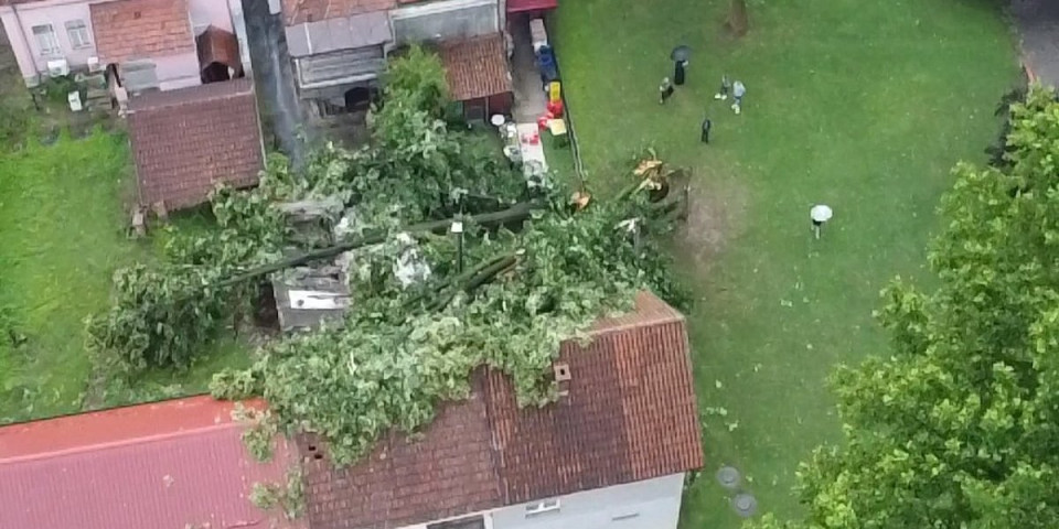 Nevreme zbrisalo čuvenu lipu u Guči: Vetar čupao stabla, drvo palo na stambenu zgradu: "Ovo ne pamtimo" (FOTO)
