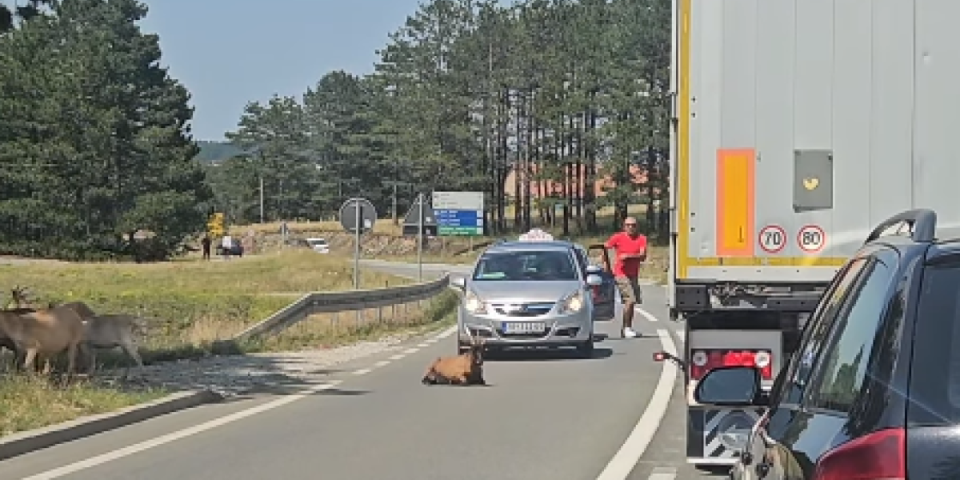 Kakvi su ovo blokaderi: Ni da mrdnu! (VIDEO)