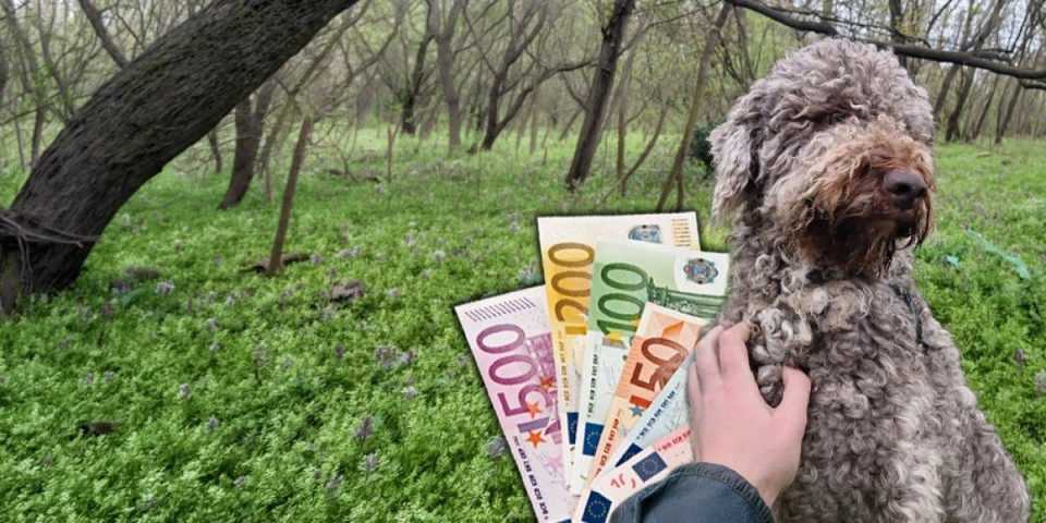 Kruševljanin daje bogatstvo za ljubimca: Sumnja da je negde zatvoren