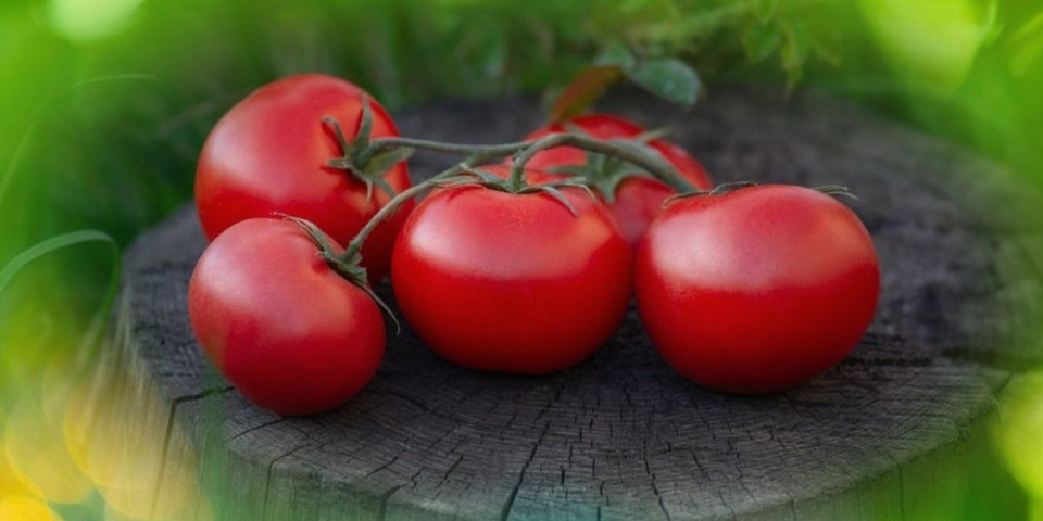 Običan ili čeri paradajz? Nutricionista otkrio koji je bolji za organizam - razlog se krije u kori