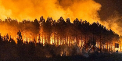 Zveri panično traže izlaz iz paklenog obruča: Užas u Francuskoj postaje sve veći (FOTO/VIDEO)