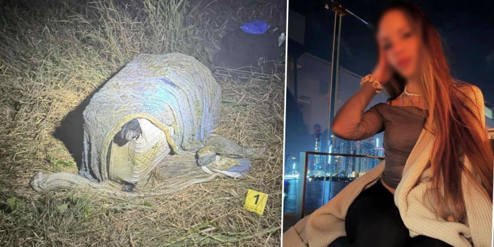 U ovom koferu nađena ubijena Ljudmila! Prizori iz Padinske skele lede krv u žilama (FOTO)