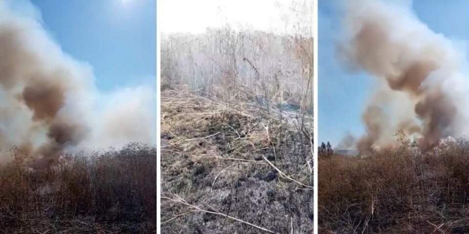 Ogroman požar u krugu bivše Fabrike šećera u Ćupriji: Vatra guta sve pred sobom - sve vrvi od vatrogasaca (VIDEO)