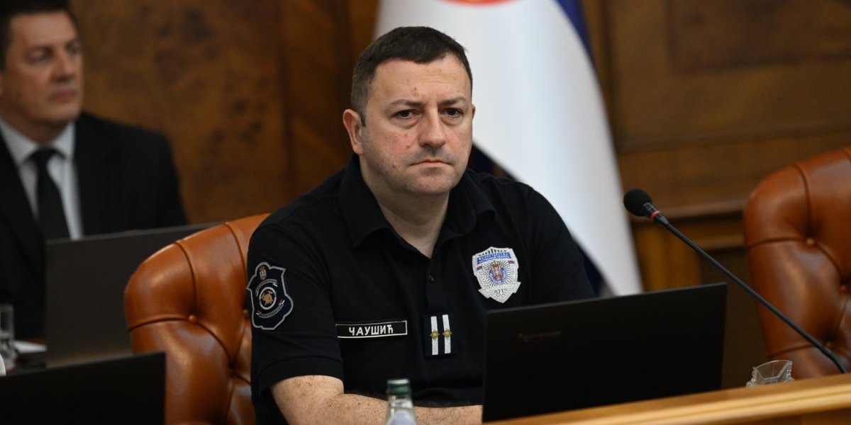 Luka Čaušić