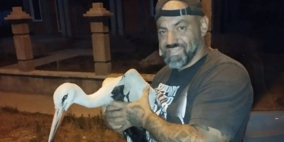 Roda je bila krvava i teško povređena! Sama ne bi preživela, ali on nije gubio nadu (VIDEO)