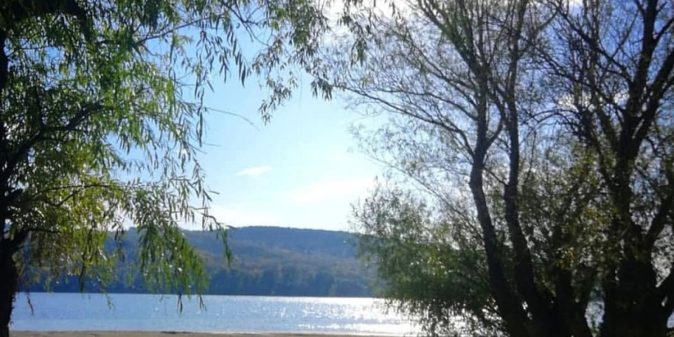 Čudovište iz Dunava kod Kovina: Ovo odavno nisu videli na obali (VIDEO)