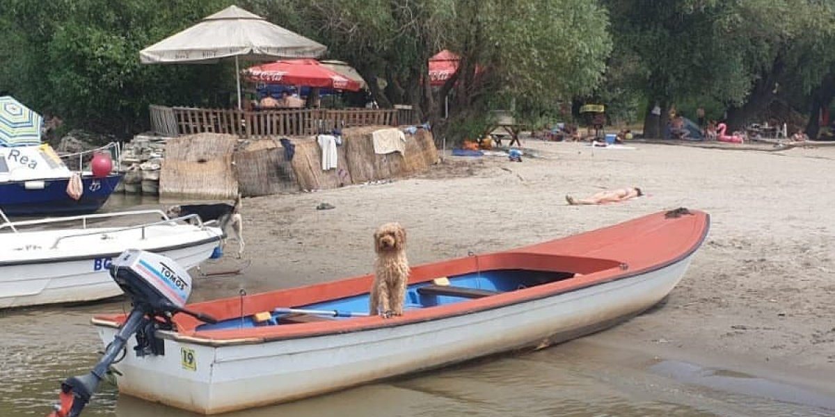 Kupalište Bela stena